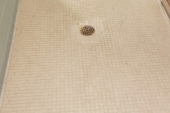 Mosaic Floor Tile and Grout Deep Cleaning Before