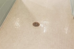 Mosaic Floor Tile and Grout Deep Cleaning After